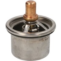 Thermostat COLORSTAT BY VERNET THS19103.83 von Calorstat By Vernet