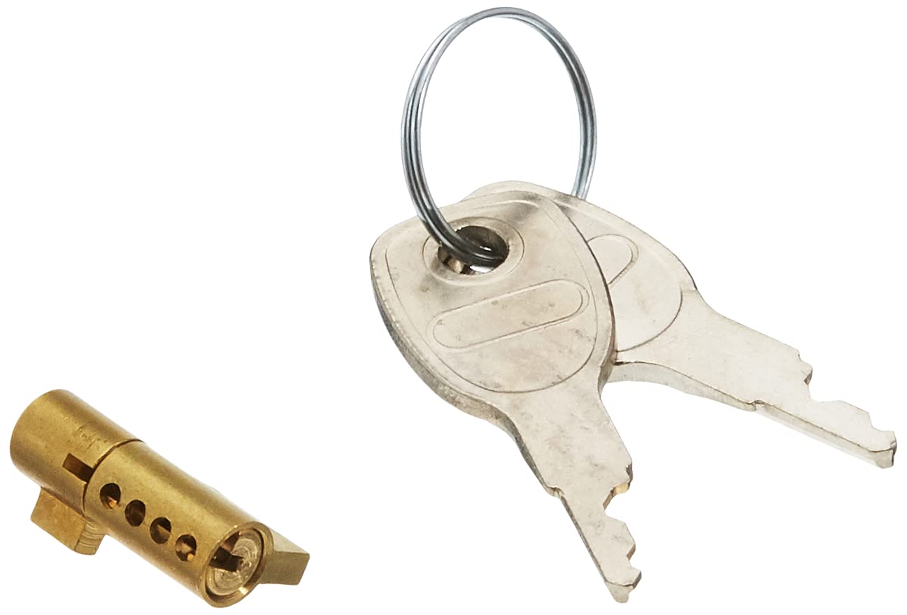 Carpoint Anhängerschloss | Deichselschloss für Kugelkopfkupplung mit 2 Schlüsseln für 0410210-410237, Silver von Carpoint