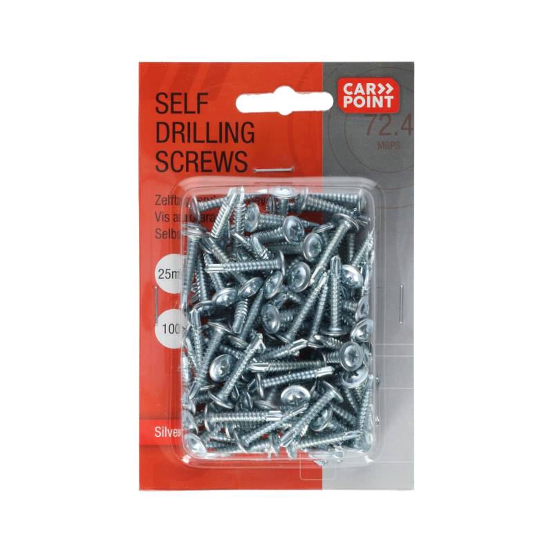 Carpoint 0810009 Selbst- schneidende Schrauben 100St Silber ø4mm 25mm, Set of 100 von Carpoint