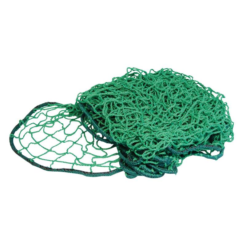 Carpoint 0923283 Anhängernetz Elastischem Rand, 250x350 cm von Carpoint