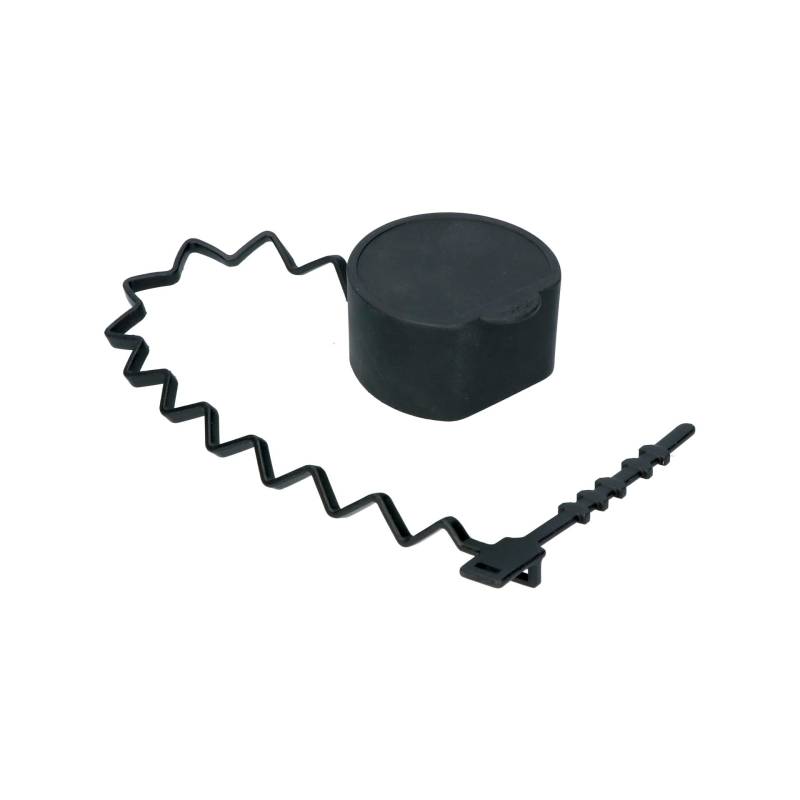 Carpoint Schutzkappe EV Stecker Typ 2 von Protecton