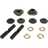 Differential-Reparatursatz CARRARO 66185-CR von Carraro
