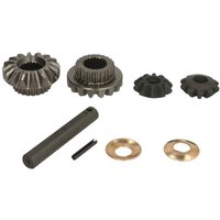 Differential-Reparatursatz CARRARO 66282-CR von Carraro