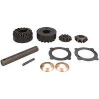 Differential-Reparatursatz CARRARO 66353-CR von Carraro