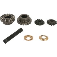 Differential-Reparatursatz CARRARO 68555-CR von Carraro