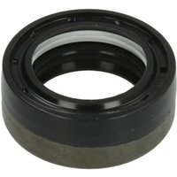 Hinterachsdichtung CARRARO 644149-CR von Carraro