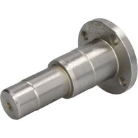 Reparatursatz für Querlenker CARRARO 141903-CR von Carraro