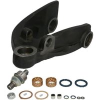 Reparatursatz für Querlenker CARRARO 63136-CR von Carraro