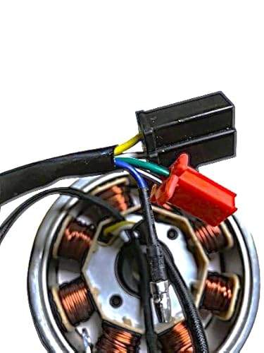 Lichtmaschine 45km/h EURO 4 Zündung Polrad Stator 139QMA/B GY6 50cc Roller Znen Benzhou Easy Cruiser Burnout Alpha Motors Firenze Casabike Torino Lexmoto Valencia Techno Classic Gt Union Nova von Casabike