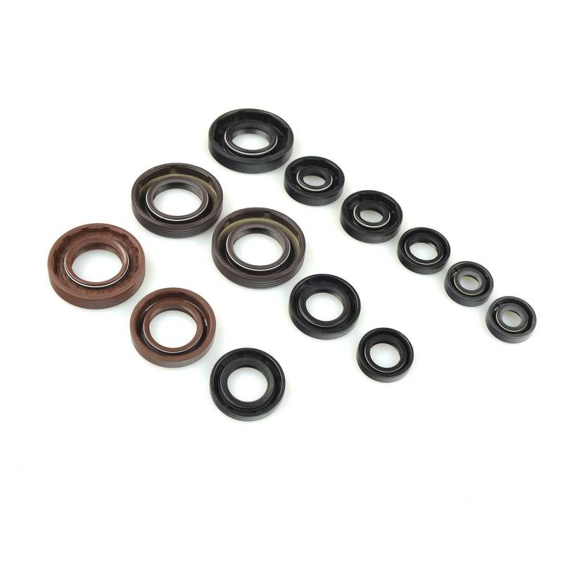 Centauro 63821 - Dichtungssatz für Motoren 666a017sr von Centauro