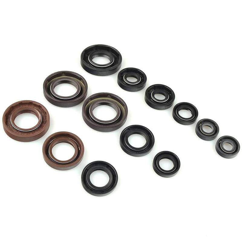 CENTAURO Centaur - 63526: Kit Dichtringe Motor E2 X Trem 2010 - 2012 von CENTAURO