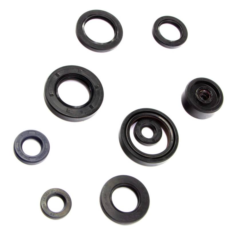 Motor Simmeringe Satz Centauro 990A152SR für K T M Sachs Yamaha LC2 Sting 125 XTC 125 XTC-N ZX 125 ZZ 125 DT 125 TDR 125 TZR 125 von Centauro