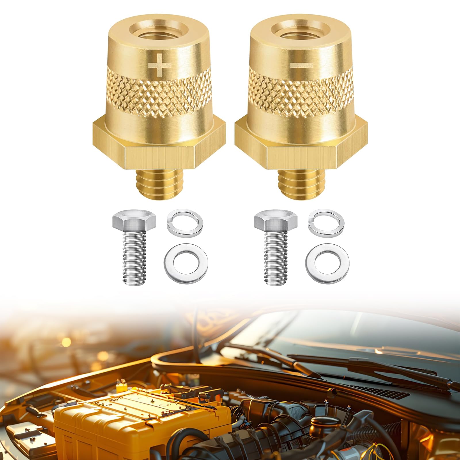 Batteriepoladapter M8, Auto Batterie Anschlussklemmen M8, Positive Negative Batteriepol, Battery Pole Adapter, Batteriepoladapter Paar, Messing Batteriepol Mit Edelstahlschrauben Und Unterlegscheiben Batteriepoladapter M8, Auto Batterie Anschlussklemmen M8, Positive Negative Batteriepol, Battery Pole Adapter, Batteriepoladapter Paar, Messing Batteriepol Mit Edelstahlschrauben Und Unterlegscheiben von Cerioll