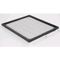 CHAMPION Luftfilter Filtereinsatz CAF100666P Motorluftfilter,Filter für Luft NISSAN,JEEP,INFINITI,NP300 Navara Pickup (D40),Pathfinder III (R51) von Champion