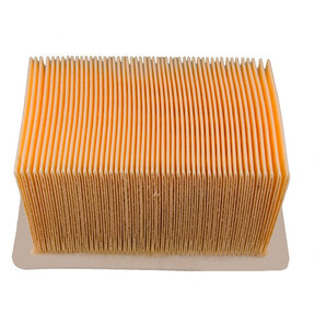 Champion Luftfilter von Champion
