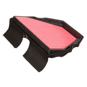 Champion Luftfilter von Champion