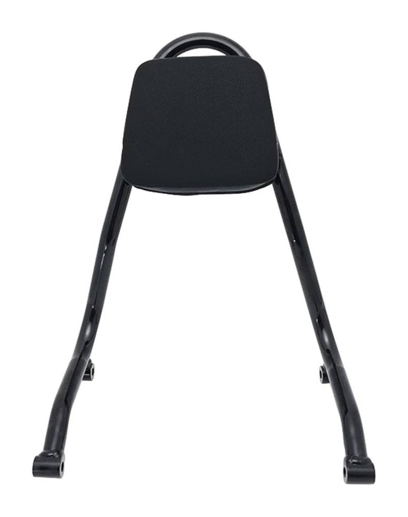 Gepäckträger Hinten Für B&MW R18 R 18 Für Classic 2020 2021 Motorrad-Heckträger Frachtgepäckträger Beifahrer-Haltegriff-Rückenlehne(1) von Ciloc