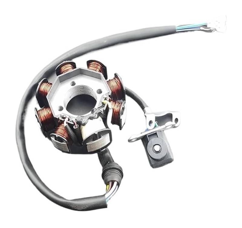 Motorrad Magneto Stator Spule Für CCG125-8 150 150cc 200cc 250cc 8 Pol Spule Zündung Stator Magneto Platte Motorrad Motocross ATV Zubehör von Ciloc