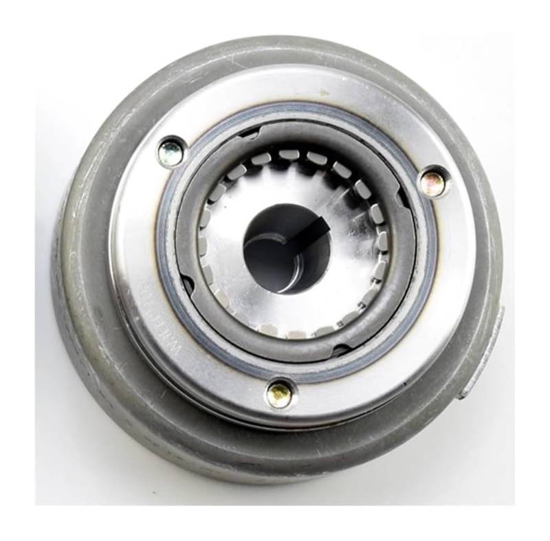 Motorrad Magneto Stator Spule Für CG250 CG200 Motor Lifan 250cc ATV Quad Go Karts Dirt Pit Bike Magneto Fly Rad Mit Stator(Weiß) von Ciloc