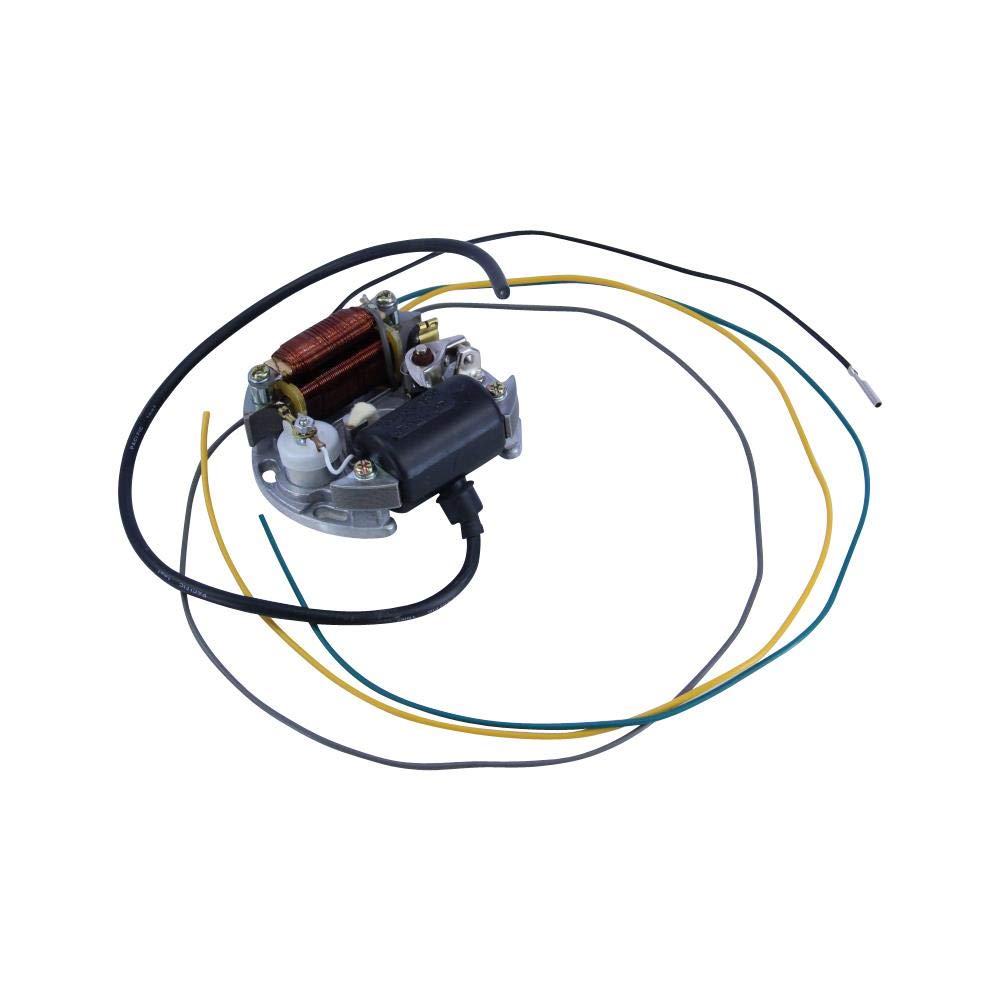 Lichtmaschine 6V 15W für Zündapp CS C GTS KS 25 50 Lichtmaschinenankerplatte Lima Lichtmaschine 6V 15W für Zündapp CS C GTS KS 25 50 Lichtmaschinenankerplatte Lima von Citomerx