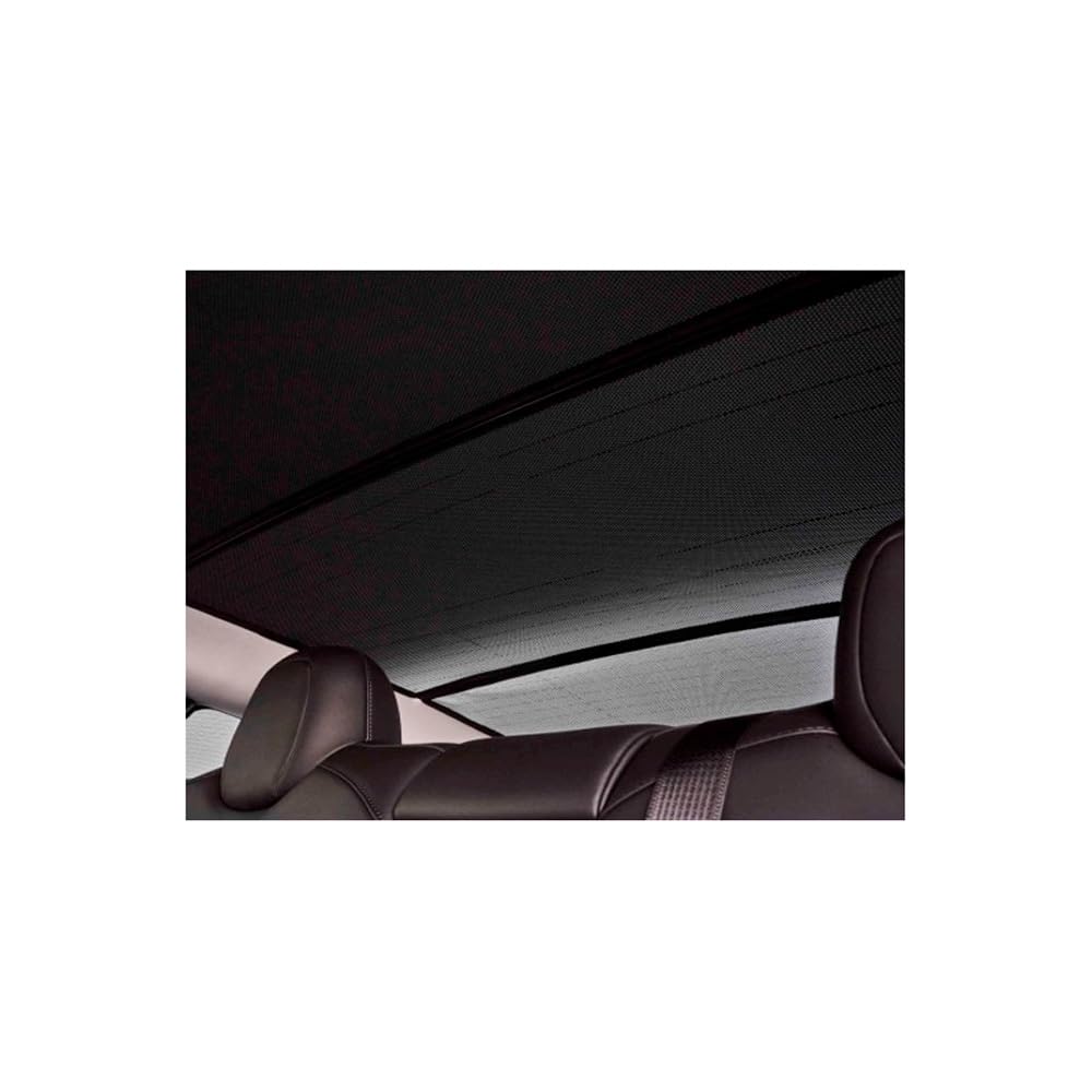 Sonniboy (Sonnenschutz) für das Panoramadach hinten (inkl. Tasche)-CLI10206PDH passend für Tesla Model 3 4-Door, 2017- von ClimAir