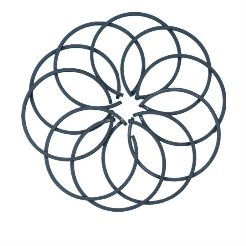 Clynex 10-teiliges Kolbenring-Set, for Partner 350 351 352 Kettensäge, Kolben mit 41 mm Bohrung Kolbenring für Gartenmaschinen von Clynex