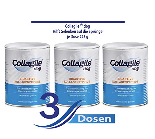 Collagile® dog - Bioaktive Kollagenpeptide in Lebensmittelqualität 225g (3 x 225g) von Collagile®