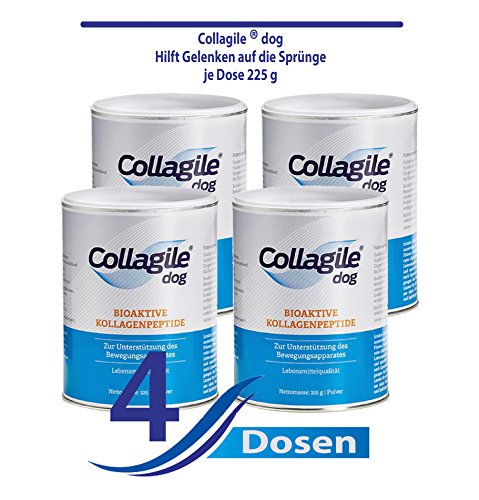 Collagile® dog - Bioaktive Kollagenpeptide in Lebensmittelqualität 225g (4 x 225g) von Collagile
