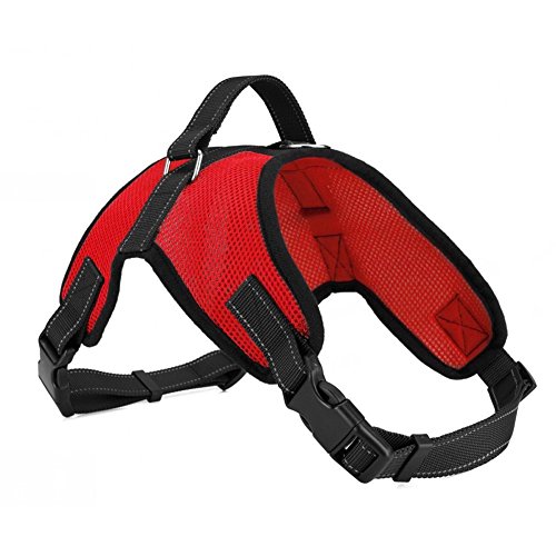 colybeauty. COR Hundegeschirr Pets Halsband gepolstert extra Brustgurte mit Griff hält Ihren Hund sicher auf Spaziergänge und Autofahrten Farbe Rot colybeauty. COR Hundegeschirr Pets Halsband gepolstert extra Brustgurte mit Griff hält Ihren Hund sicher auf Spaziergänge und Autofahrten Farbe Rot von ColyBeauty.cor