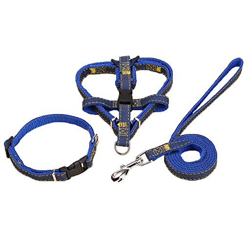 Comcrib Premium Hundeleine+Hundegeschirr + Hundehalsband für Hunde Sicherheit aus Nylon sicher Kontrolle Softgeschirr bequem für Hunde Haustier von Comcrib