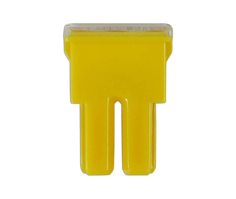 Connect 30479 PAL-Sicherung, weiblich, 60A von Connect