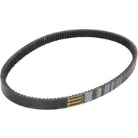 Keilrippenriemen CONTINENTAL 240.051X-CON von Contitech