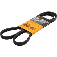 Keilrippenriemen CONTINENTAL 4PK1330 Keilrippenriemen CONTINENTAL 4PK1330 von Contitech