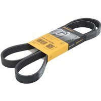 Keilrippenriemen CONTINENTAL 6PK1441 EXTRA von Contitech
