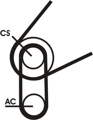 Keilrippenriemensatz Contitech 5PK716 ELAST T1 Keilrippenriemensatz Contitech 5PK716 ELAST T1 von Contitech