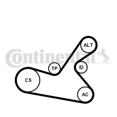 Keilrippenriemensatz Contitech 6PK1125K1 Keilrippenriemensatz Contitech 6PK1125K1 von Contitech
