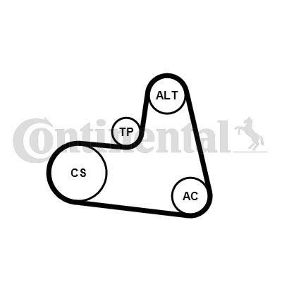 Keilrippenriemensatz Contitech 6PK1217K1 Keilrippenriemensatz Contitech 6PK1217K1 von Contitech