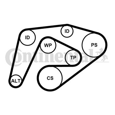 Keilrippenriemensatz Contitech 6PK2260K3 von Contitech