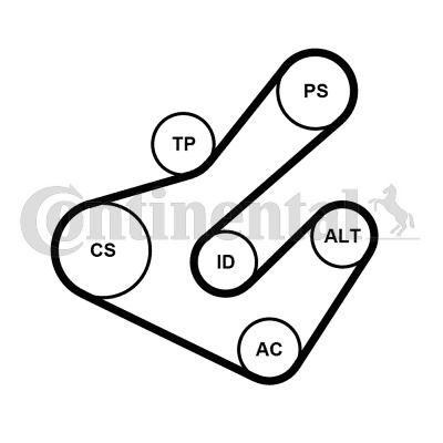 Keilrippenriemensatz Contitech 7PK1795K2 Keilrippenriemensatz Contitech 7PK1795K2 von Contitech