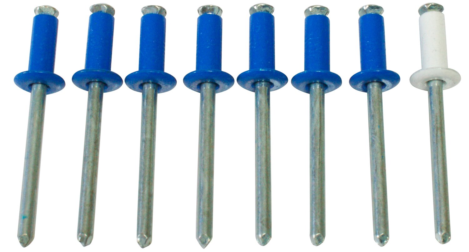 Cora 000116010 Kit 8 Nieten Nummernschilder, 7 blau und 1 weiß Cora 000116010 Kit 8 Nieten Nummernschilder, 7 blau und 1 weiß von CORA