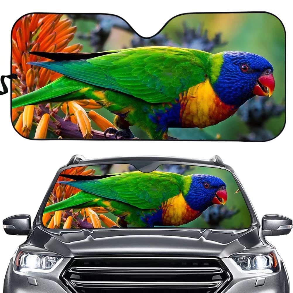 Cumagical Parrot Auto Frontscheibe Sonnenschutz Vogel Windschutzscheibe Sonnenblende Universal Fit für die meisten Autoteile, blockiert UV-Sonnenlicht, Hitze, schützt Ihr Auto innen, hält Ihr Auto Cumagical Parrot Auto Frontscheibe Sonnenschutz Vogel Windschutzscheibe Sonnenblende Universal Fit für die meisten Autoteile, blockiert UV-Sonnenlicht, Hitze, schützt Ihr Auto innen, hält Ihr Auto von Cumagical