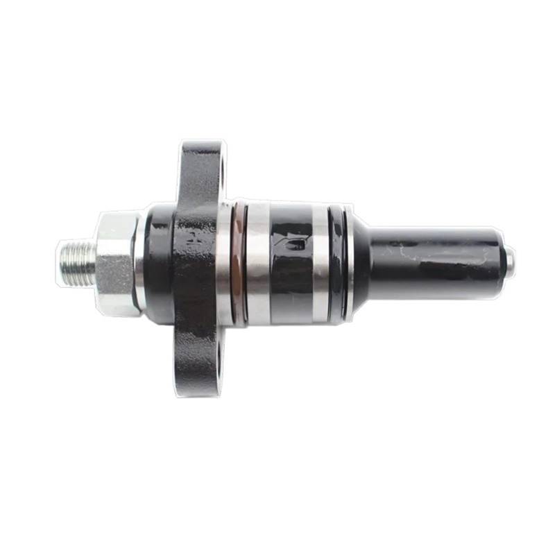 Auto Einspritzdüse Für Common Rail CP2.2 F019003313 Hochdruck-Ölpumpe Plunger Diesel Automobil Einspritzdüsen von Cvgffs