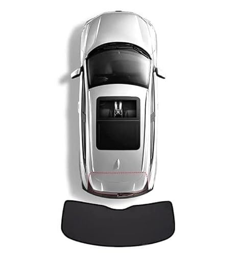 Für BMW 5 Series GT F07 Auto Seitenfenster Sonnenschutz,Auto Vordere Und Hintere Fenster Atmungsaktiv Sonnenschutz Moskitonetz Auto Zubehör,A-1 Rear Windshield von DALIZA