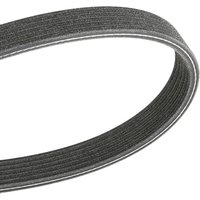 DAYCO Keilrippenriemen 6PK1195 Rippenriemen MERCEDES-BENZ,RENAULT,FIAT,A-Klasse (W176),B-Klasse (W246, W242),GLA (X156),CLA Coupe (C117) von DAYCO
