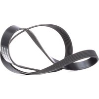 DAYCO Keilrippenriemen 6PK1345 Rippenriemen FIAT,SUZUKI,JEEP,DOBLO Kasten/Kombi (263),TIPO Schrägheck (356_),TIPO Kombi (356_),500X (334_) von DAYCO