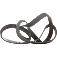 DAYCO Keilrippenriemen 6PK1705 Rippenriemen OPEL,BMW,FORD,COMBO Kasten/Kombi (X12),Combo Combi / Tour (X12),3 Limousine (E46),3 Touring (E46) von DAYCO