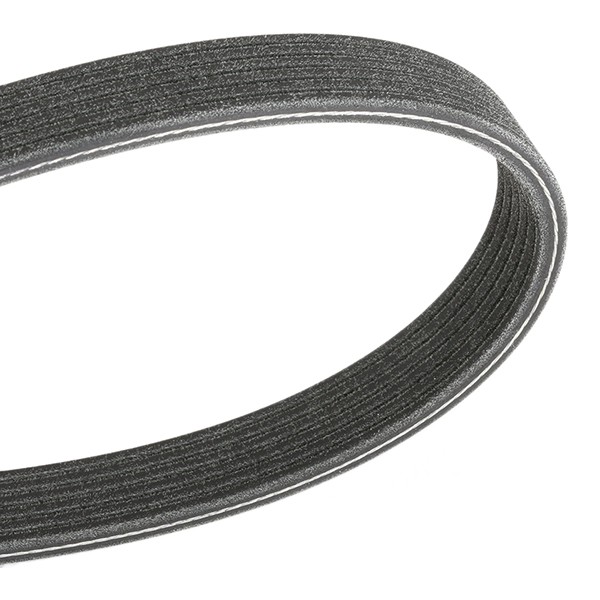 DAYCO Keilrippenriemen MERCEDES-BENZ,RENAULT,FIAT 6PK1195 117209098R,6x1195,A0039935196 Rippenriemen A6079930696,117208309R,9771326300,6079930696 DAYCO Keilrippenriemen MERCEDES-BENZ,RENAULT,FIAT 6PK1195 117209098R,6x1195,A0039935196 Rippenriemen A6079930696,117208309R,9771326300,6079930696 von DAYCO