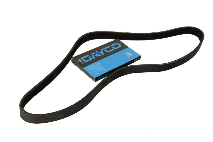 DAYCO Keilrippenriemen VW,FORD,SKODA 6PK1525 4M5Q6C301GB,047903137G,23780AA070 Rippenriemen 1316336 DAYCO Keilrippenriemen VW,FORD,SKODA 6PK1525 4M5Q6C301GB,047903137G,23780AA070 Rippenriemen 1316336 von DAYCO