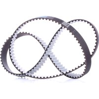 DAYCO Zahnriemen Zähnez.: 160 941032 Steuerriemen VW,AUDI,SKODA,GOLF VI (5K1),Passat Variant (3C5),GOLF PLUS (5M1, 521),TIGUAN (5N_) von DAYCO