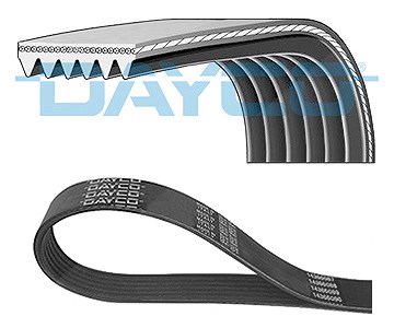 Dayco Keilrippenriemen [Hersteller-Nr. 6PK1750] für Alfa Romeo, Citroën, Dodge, Fiat, Ford, Jeep, Lancia, Land Rover, Mazda, Peugeot, Renault, Skoda, von DAYCO